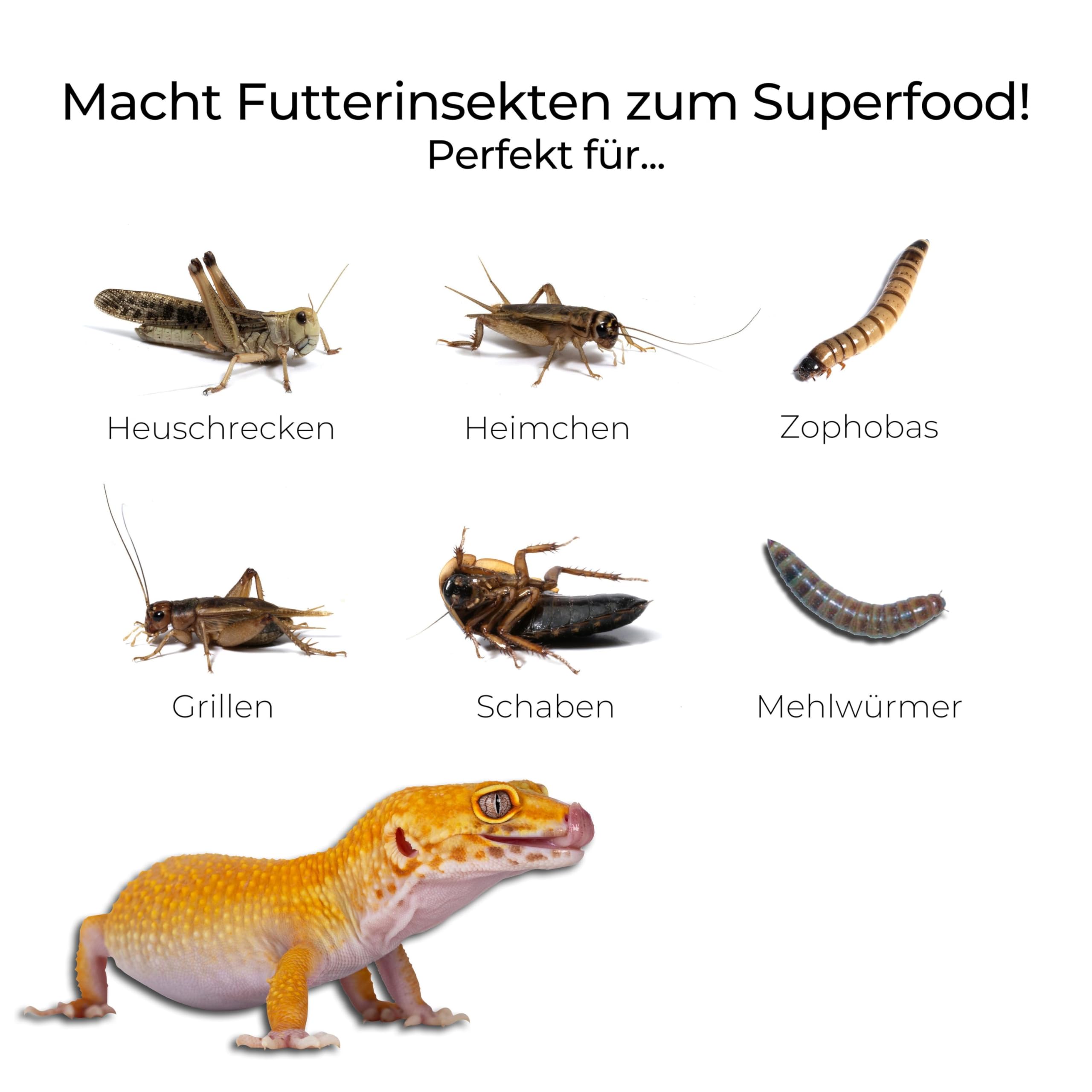 lucky-reptile-insect-booster-jelly-futterinsekten-nahrung-4-x-15-g image 2