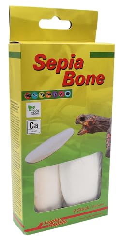 lucky-reptile-sepia-bone-s-doppelpack-unter-16-cm-sepiaschale image 6