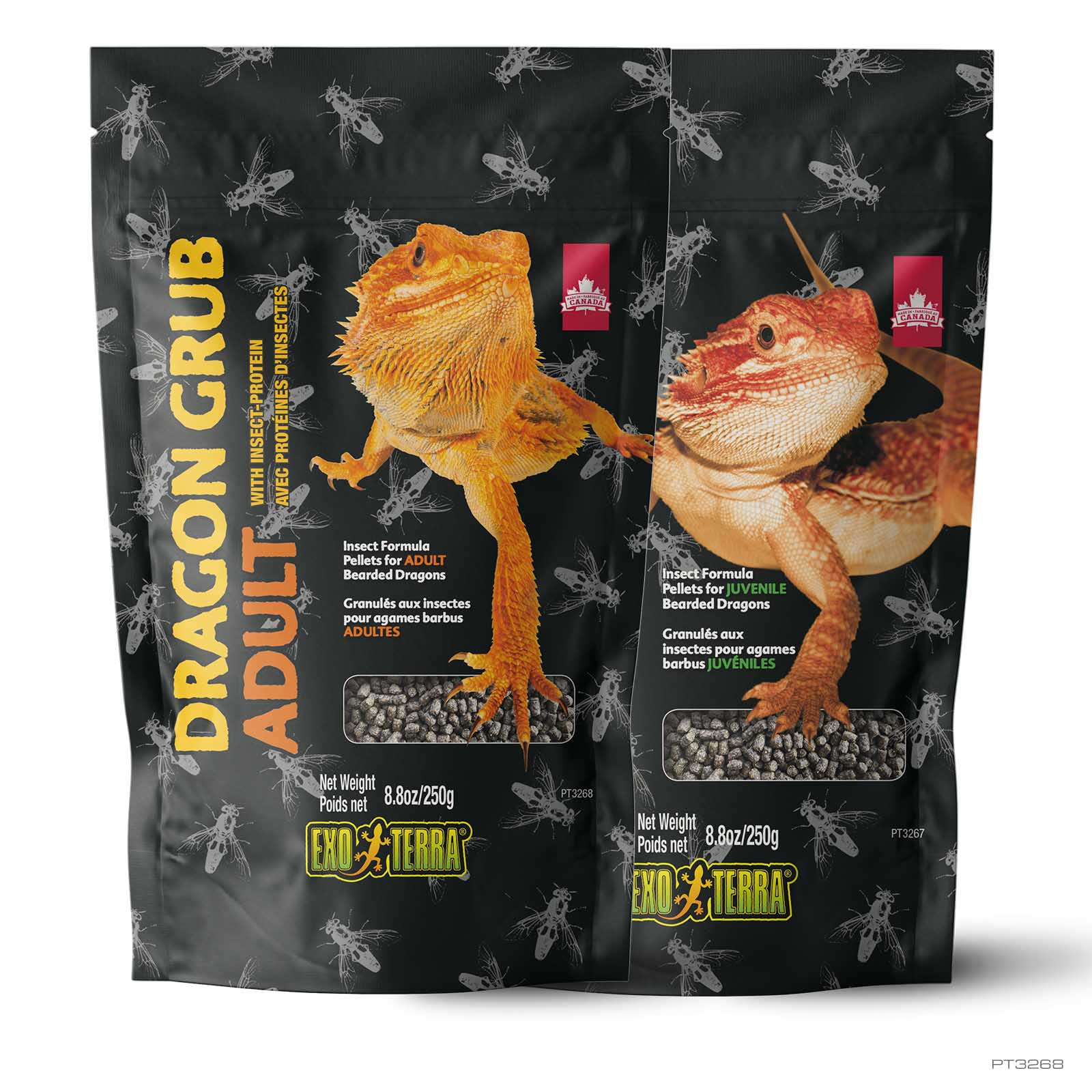 exo-terra-dragon-grub-adult-250g-insektenfutter image 2
