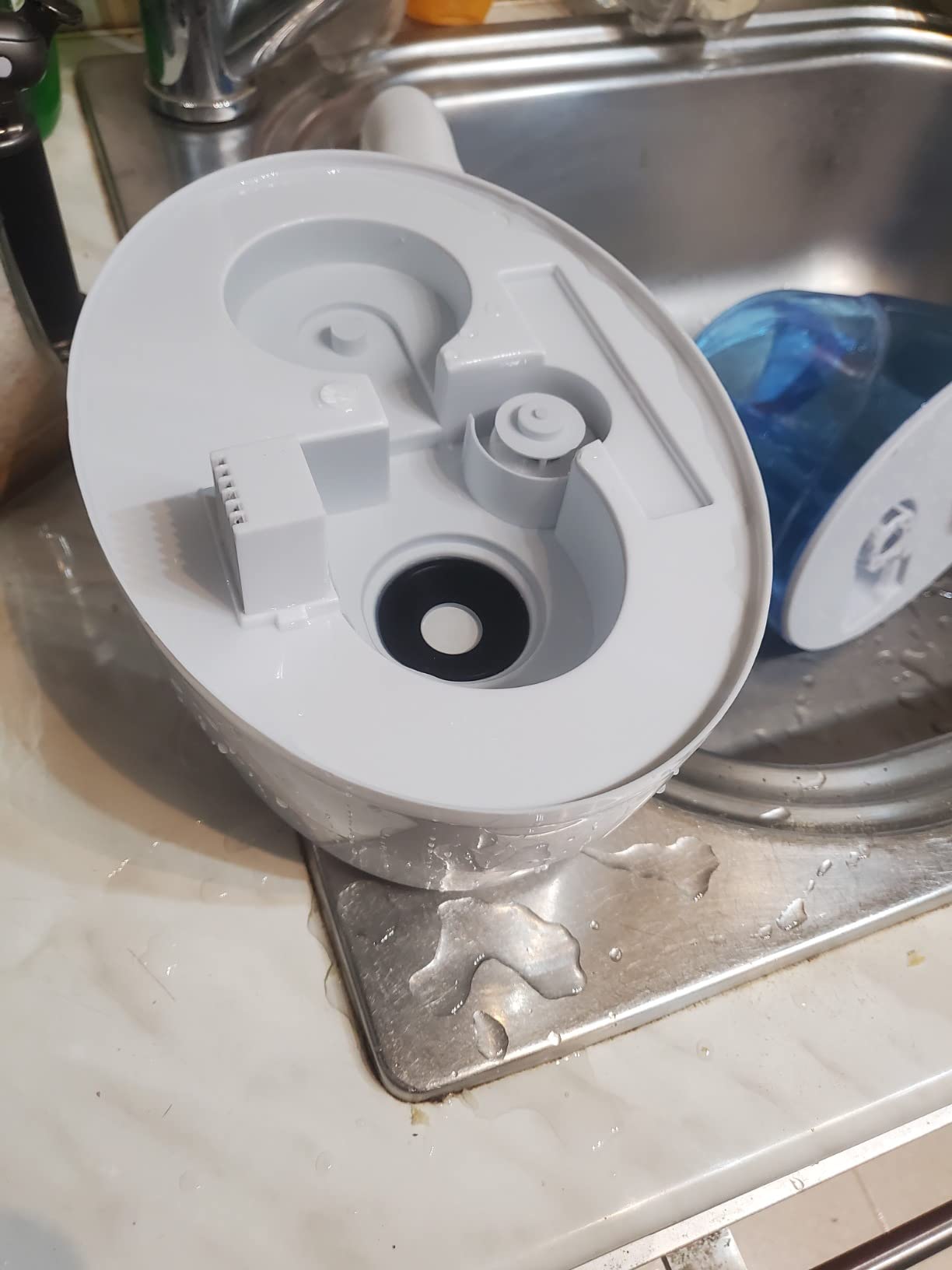 Top Klima für meine Chamäleons