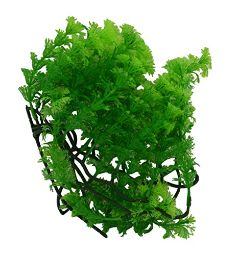 lucky-reptile-turtle-plant-hornkraut-plf042-64542-schwimmende-kunstpflanze-47-g- image 6
