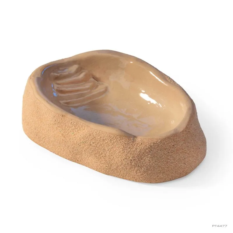 exo-terra-terrarium-wasserschale-medium-dish image 1