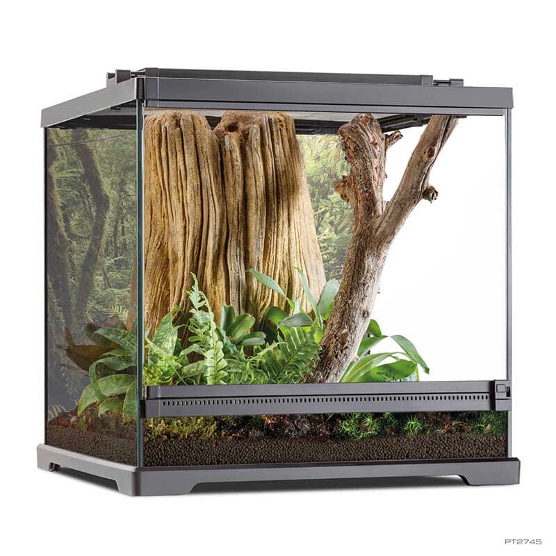 exo-terra-dart-frog-terrarium-amphibien-terrarium image 1