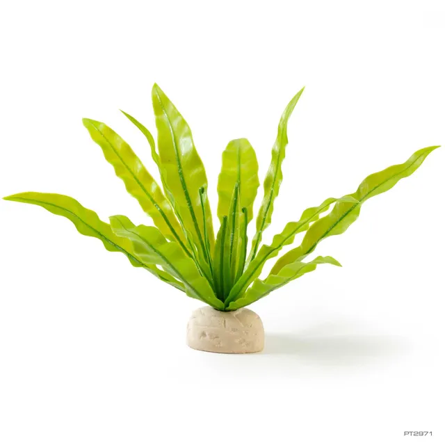 exo-terra-bird-s-nest-fern-k-nstliche-nestfarn-terrarienpflanze image 1