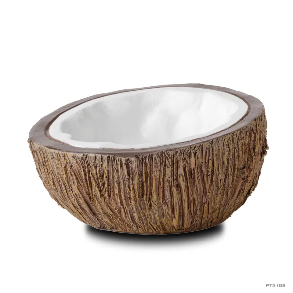 exo-terra-coconut-wassernapf-hawaiian-tiki image 1