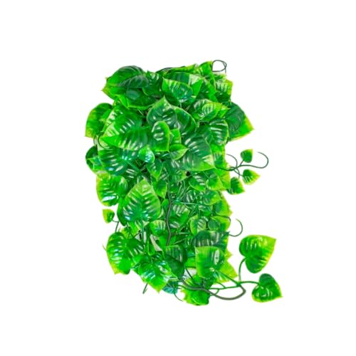 lucky-reptile-philo-64566-h-ngepflanze-terrariendeko-150-g image 3