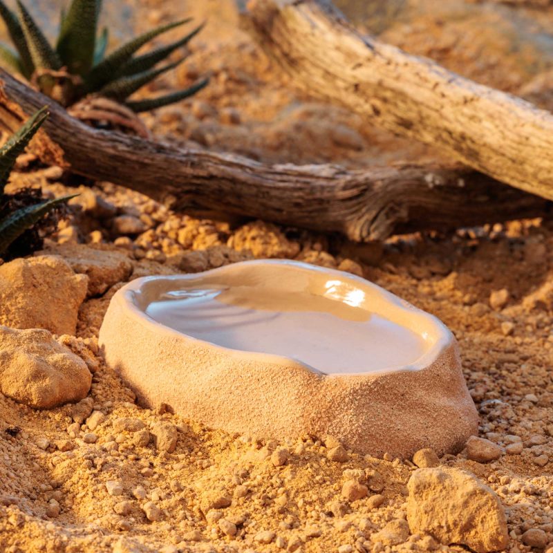 exo-terra-terrarium-wasserschale-medium-dish image 5