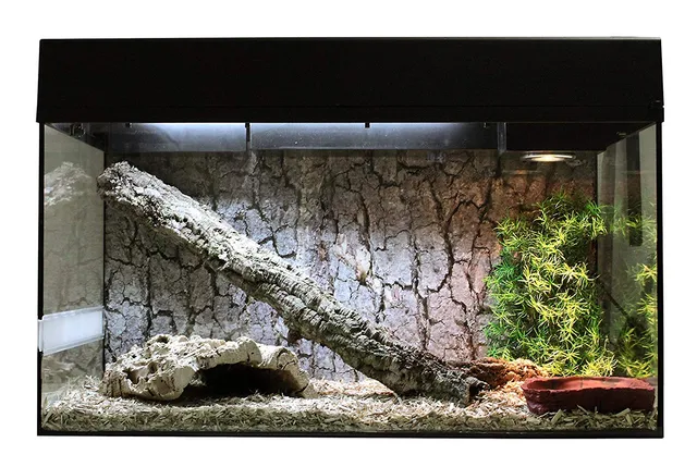 lucky-reptile-schlangen-starter-kit-80-cm-terrarium-komplettset-schwarz-f-r-klei image 1