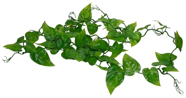 lucky-reptile-rankenpflanze-philodendron-kunstpflanze-ca-200-cm image 1
