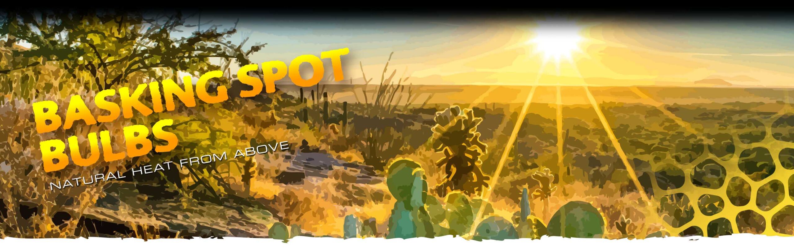exo-terra-basking-spot-bulbs-w-rmespot-strahler-f-r-reptilien image 2