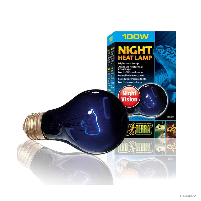 exo-terra-night-heat-lamp-nachtw-rmelampe-100-w image 1