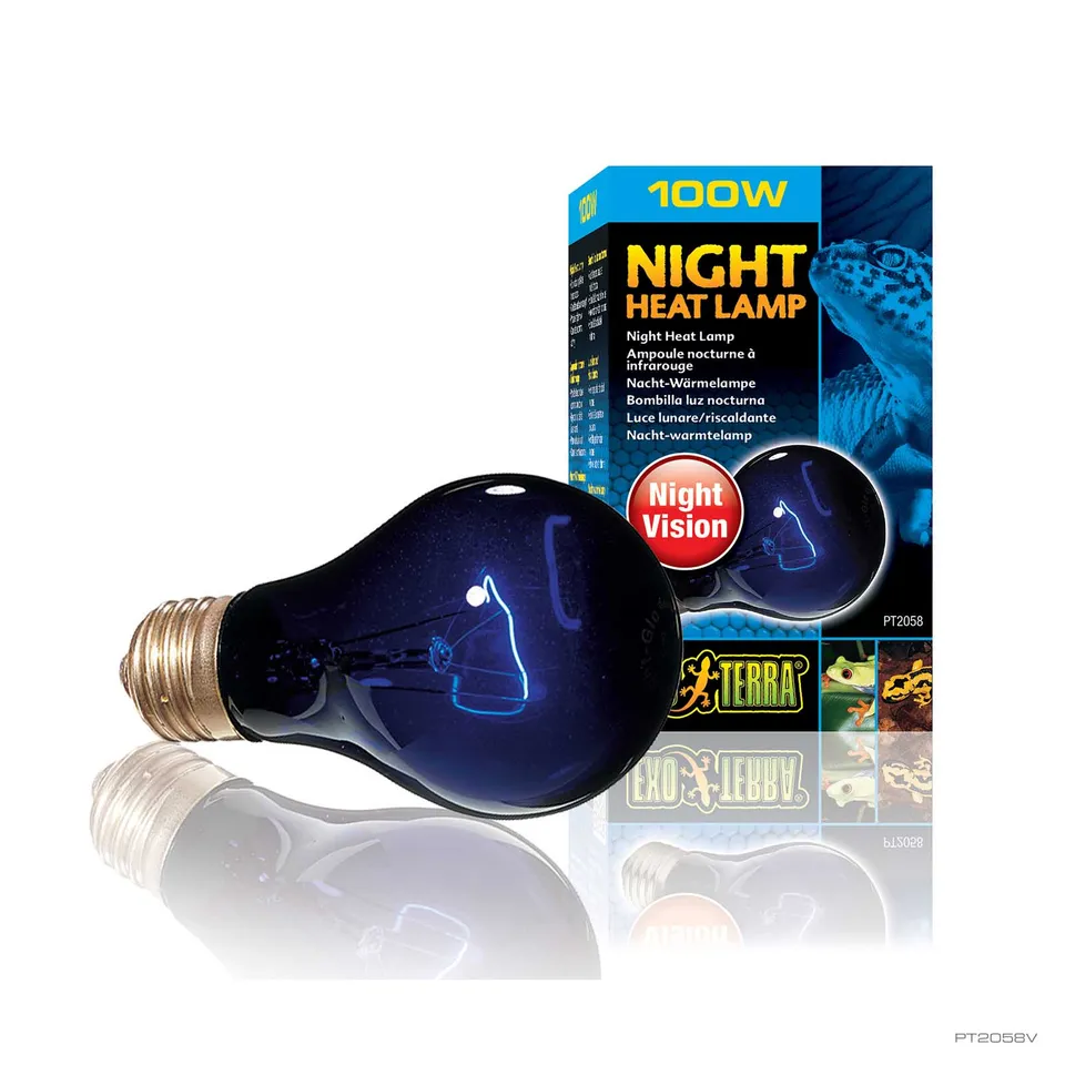 exo-terra-night-heat-lamp-nachtw-rmelampe-100-w image 1