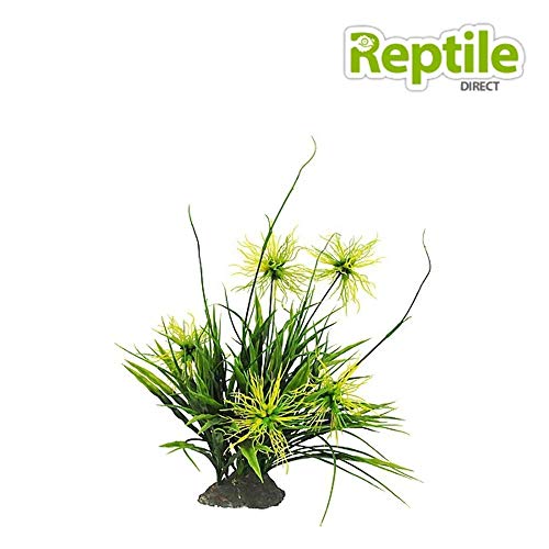 lucky-reptile-tiger-aloe-kunstpflanze-auf-steinsockel-ca-8-cm image 8