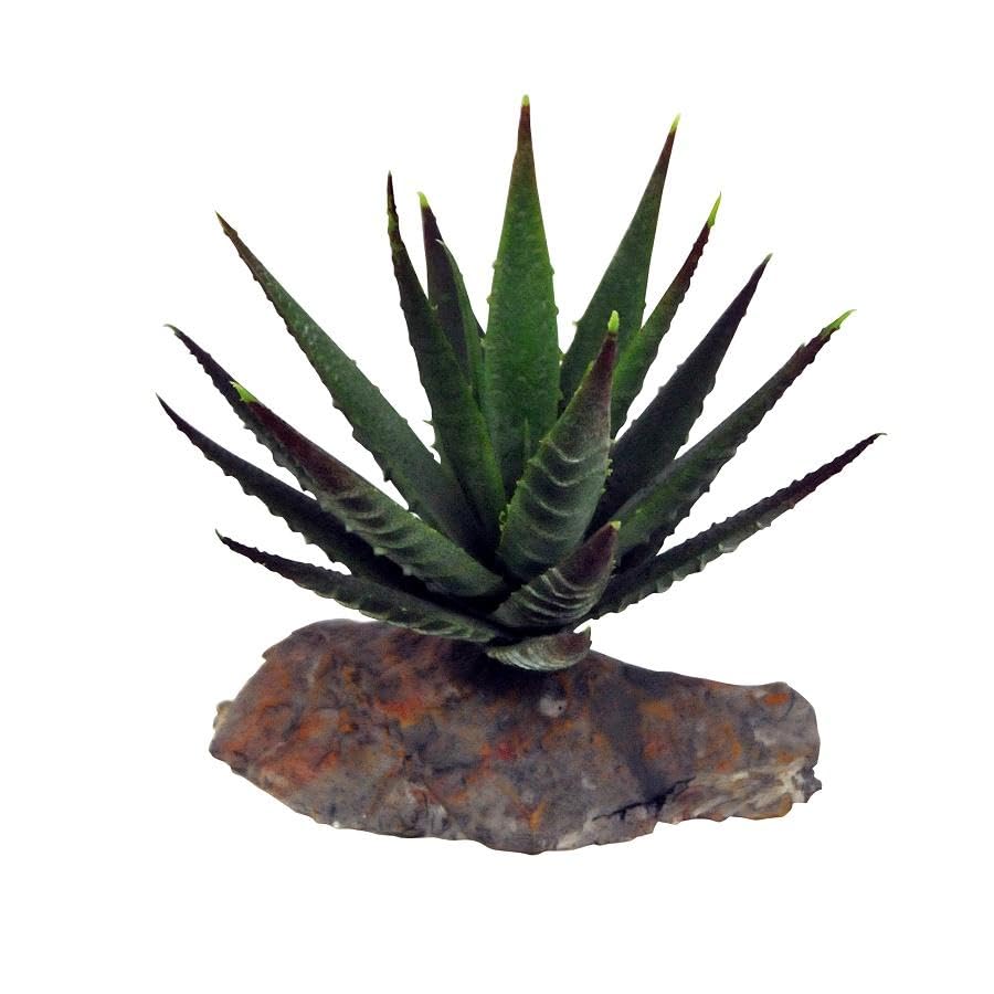 lucky-reptile-tiger-aloe-kunstpflanze-auf-steinsockel-ca-8-cm image 3