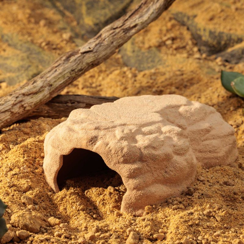 exo-terra-terrarium-den-medium-h-hlen-versteck image 6