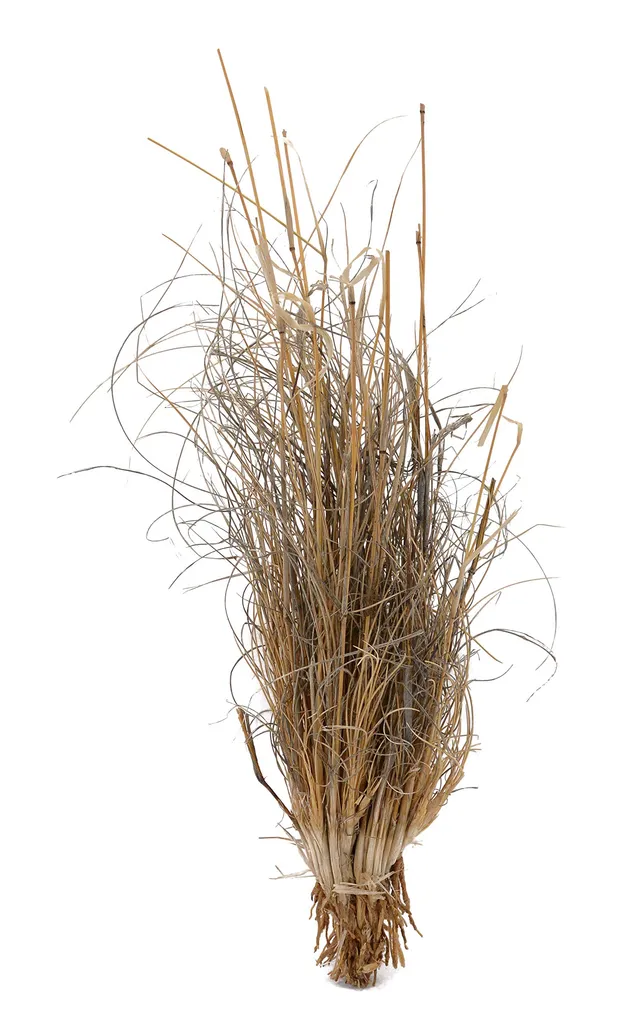 lucky-reptile-grasb-schel-terrarienpflanze-deko-ca-25-40-cm-f-r-w-sten-terrarium image 1