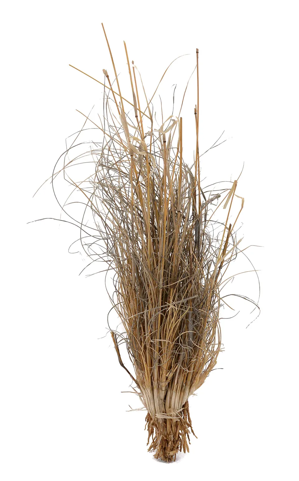 lucky-reptile-grasb-schel-terrarienpflanze-deko-ca-25-40-cm-f-r-w-sten-terrarium image 1