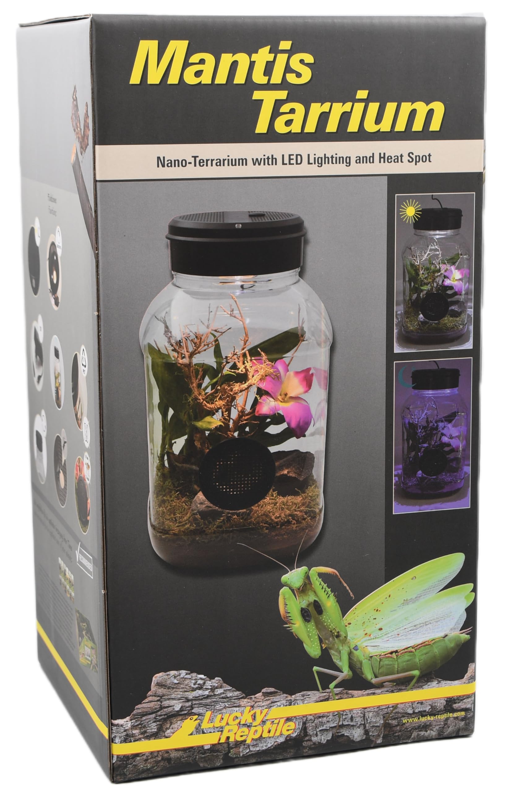 lucky-reptile-mantistarrium-kleinterrarium-18x18x35-cm-f-r-gottesanbeterinnen image 1