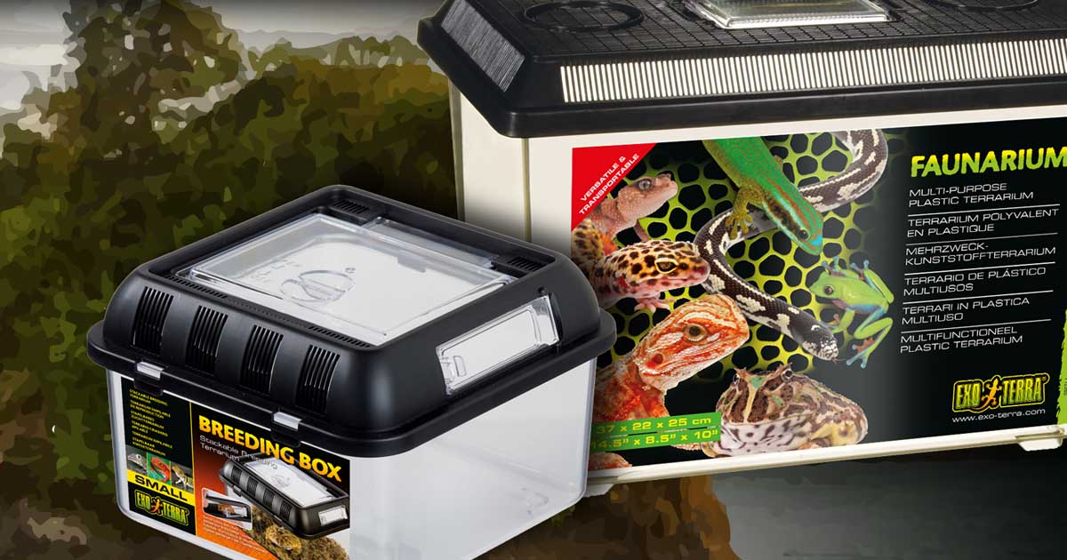 exo-terra-faunarium-kunststoff-terrarium-box image 1