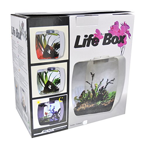 lucky-reptile-life-box-30x18x30-cm-wei-mit-led-und-l-ftung image 7