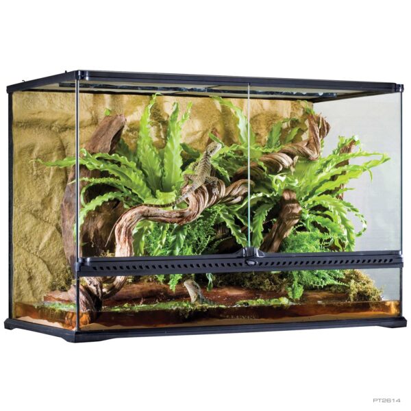 exo-terra-natural-terrarium-glas-terrarium-f-r-reptilien-und-amphibien image 5