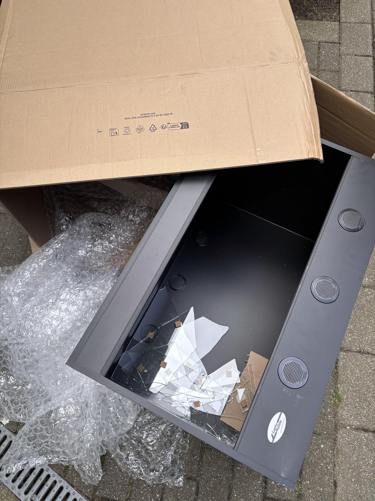 Perfekt für meinen Kronengecko