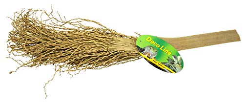 lucky-reptile-palmwedel-palmfackel-30-40-cm-naturdeko image 4