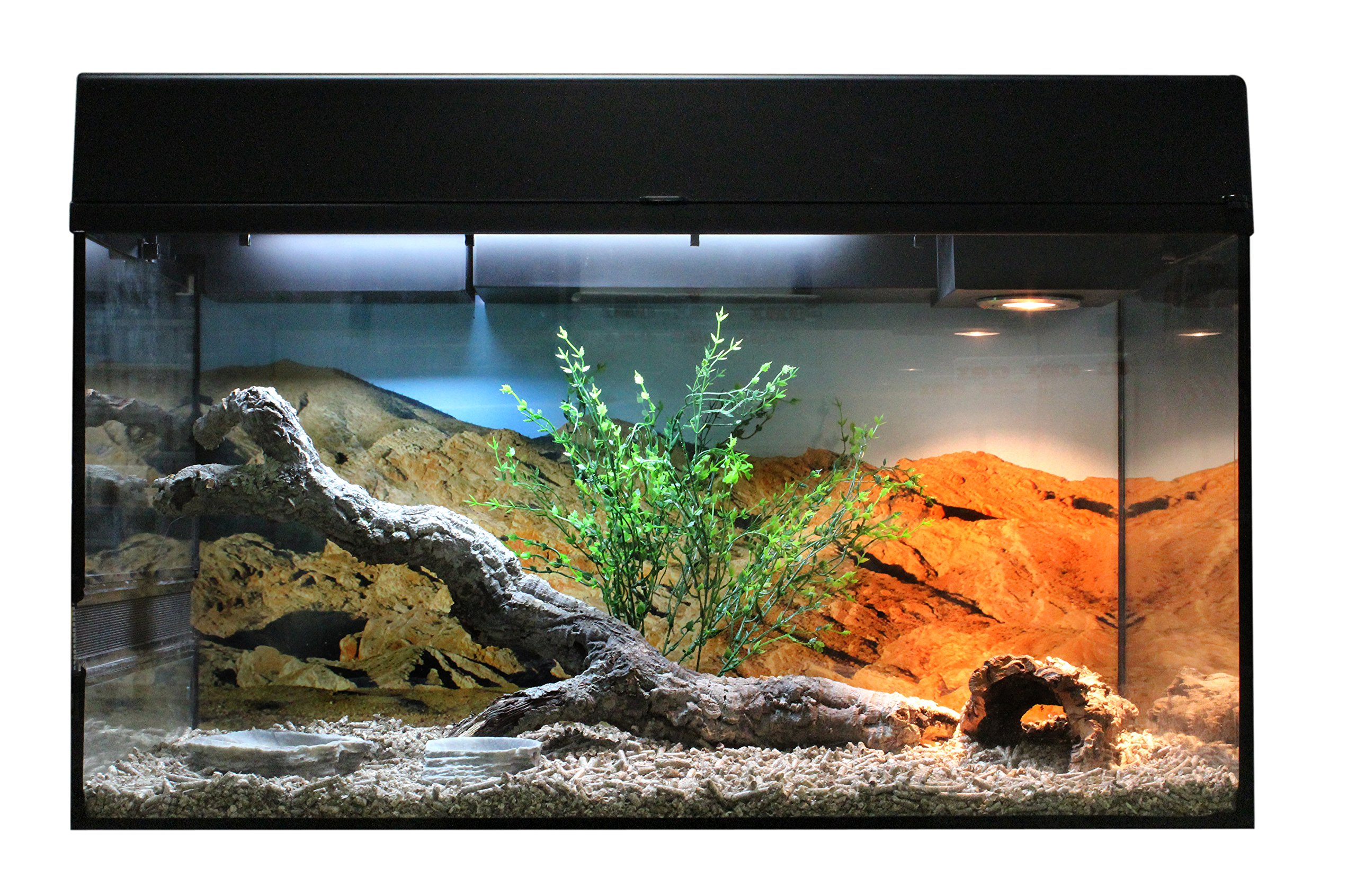 lucky-reptile-starter-kit-bartagame-80x40x52-cm-schwarz-komplett-terrarium image 4