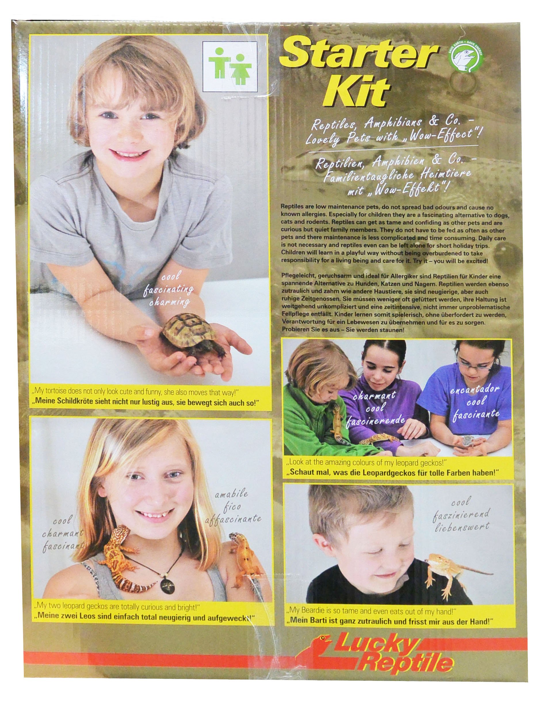 lucky-reptile-starter-kit-w-stengecko-50-x-28-x-40-cm-wei image 4