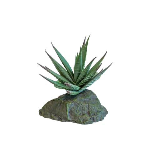 lucky-reptile-tiger-aloe-kunstpflanze-auf-steinsockel-ca-8-cm image 5