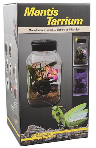 lucky-reptile-mantistarrium-kleinterrarium-18x18x35-cm-f-r-gottesanbeterinnen image 8
