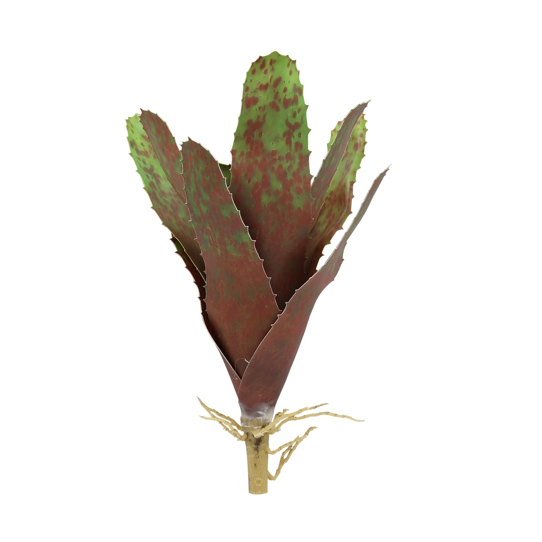 lucky-reptile-scape-it-easy-bromelie-neoregelia-gr-n-ca-20-cm-dekopflanze image 3