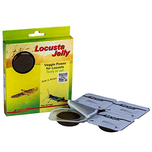 lucky-reptile-locusta-jelly-heuschrecken-futter-4-x-15-g image 8