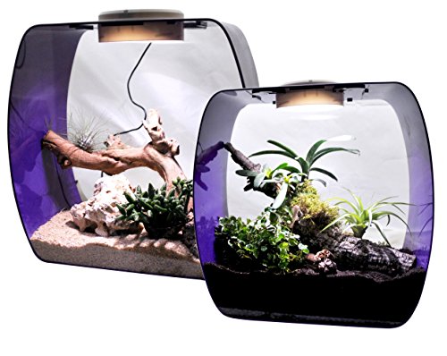 lucky-reptile-lb-30op-life-box-30-designterrarium-acrylglas-beere-30x18x30-cm image 5