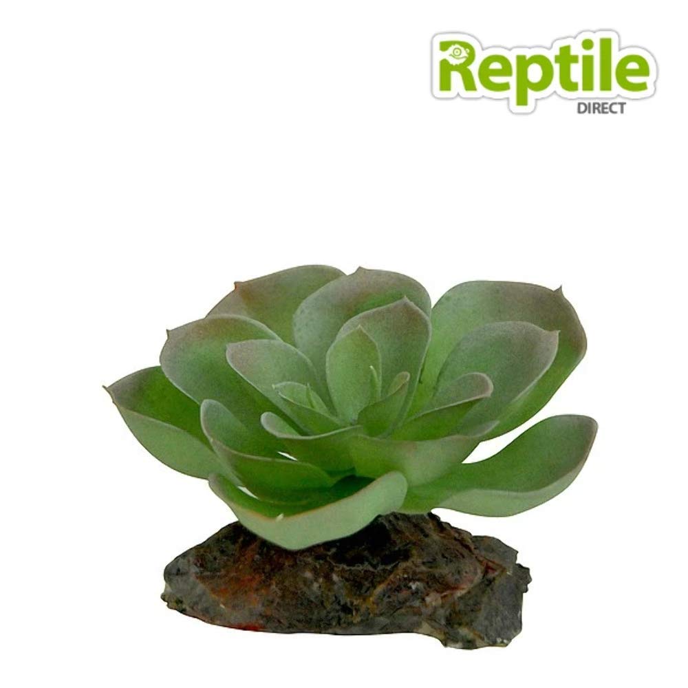 lucky-reptile-kalahari-busch-kunstpflanze-ca-40-cm image 1