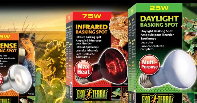 exo-terra-basking-spot-bulbs-w-rmespot-strahler-f-r-reptilien image 1