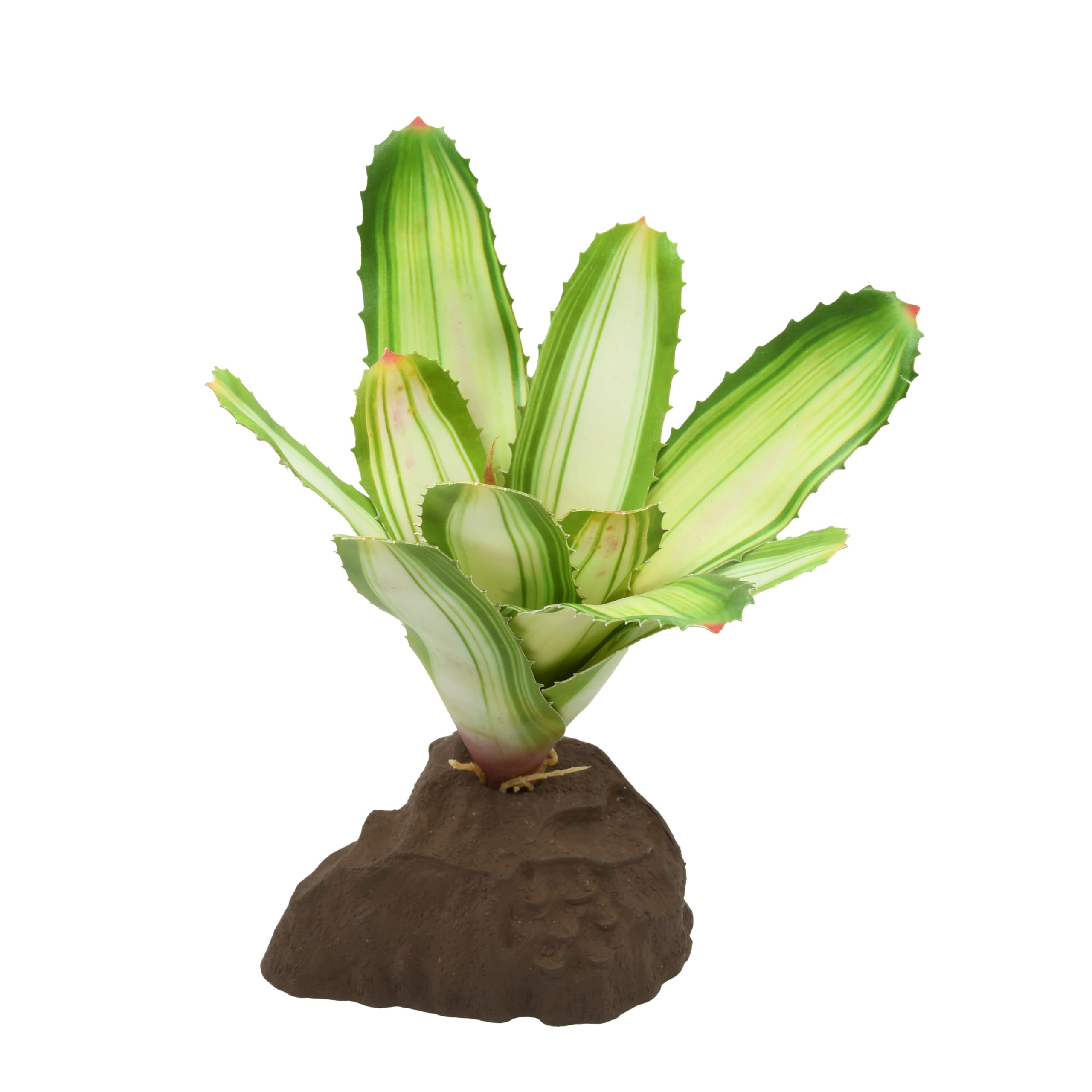 lucky-reptile-scape-it-easy-bromelie-neoregelia-wei-ca-20-cm-terrarien-dekopflan image 1