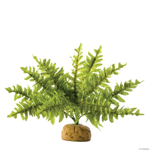exo-terra-boston-fern-small-k-nstliche-terrarienpflanze image 1