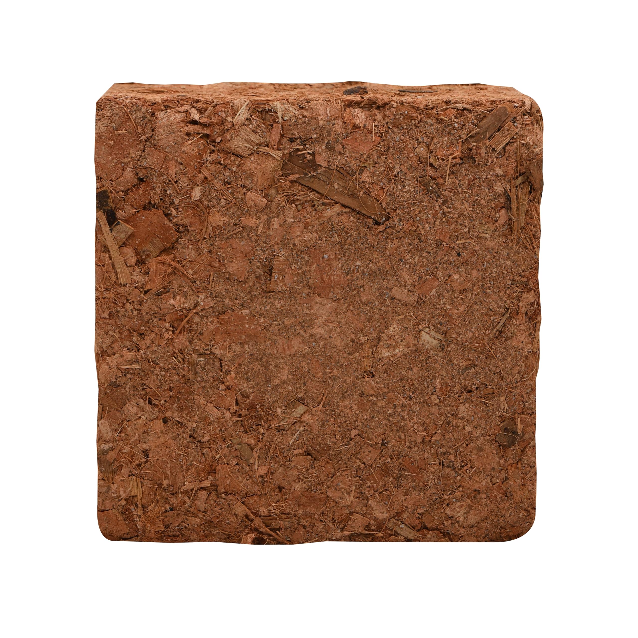 lucky-reptile-coconut-bark-chips-1000-gramm-kokos-einstreu image 3