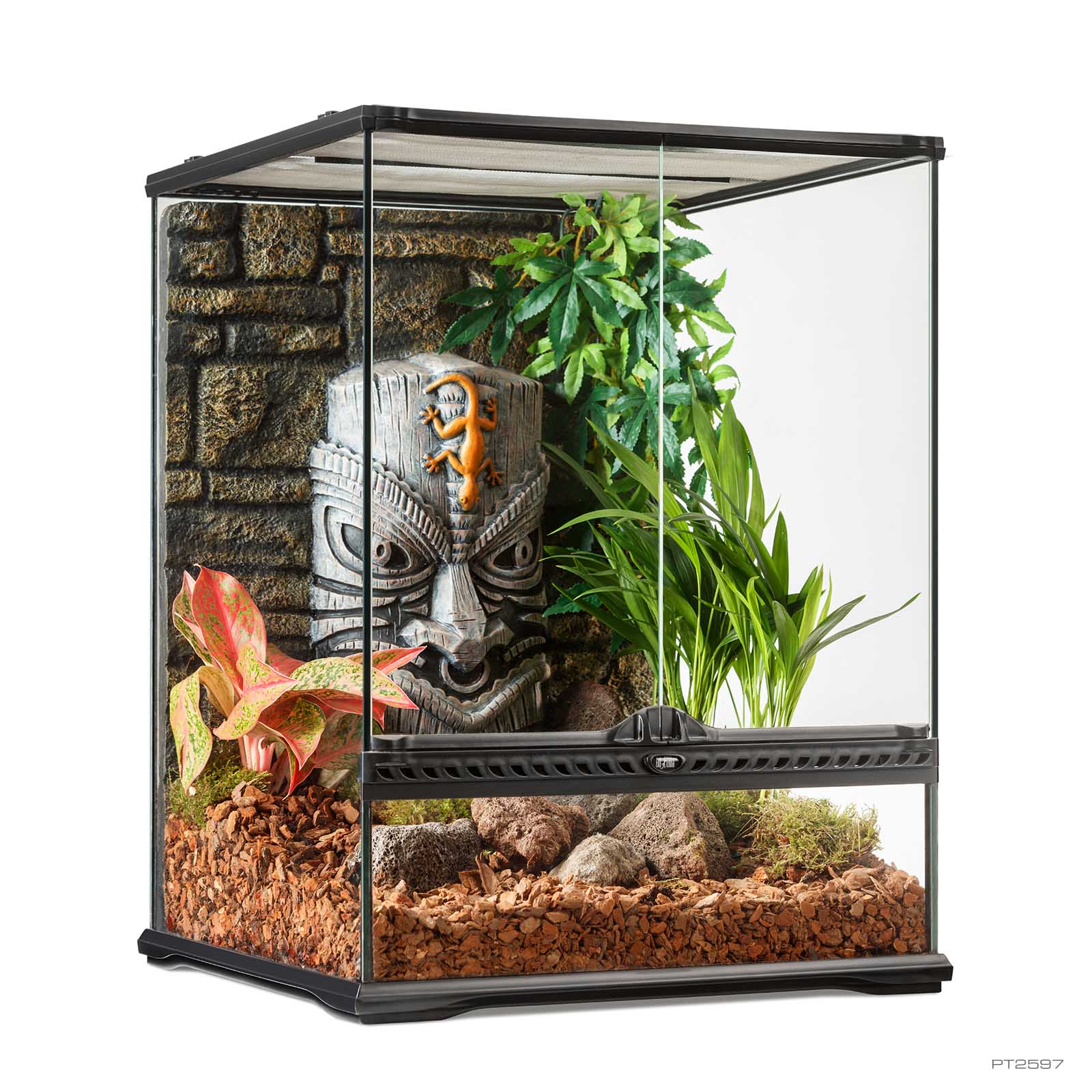 exo-terra-tiki-terrarium-small-tall-glas-terrarium image 1