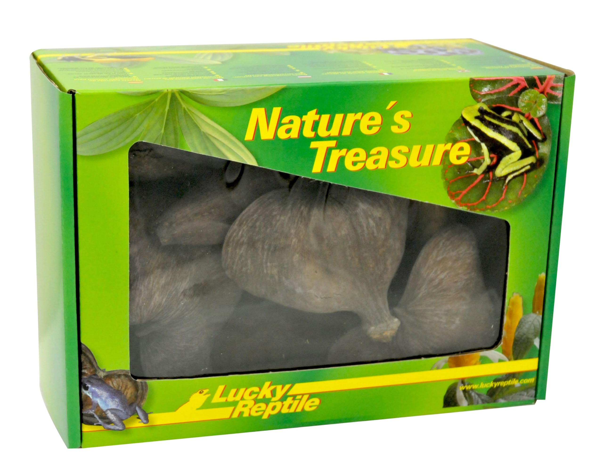 lucky-reptile-db-01-nature-s-treasure-deko-box-naturdeko image 2