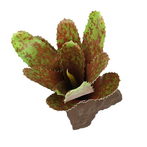 lucky-reptile-scape-it-easy-bromelie-neoregelia-gr-n-ca-20-cm-dekopflanze image 8