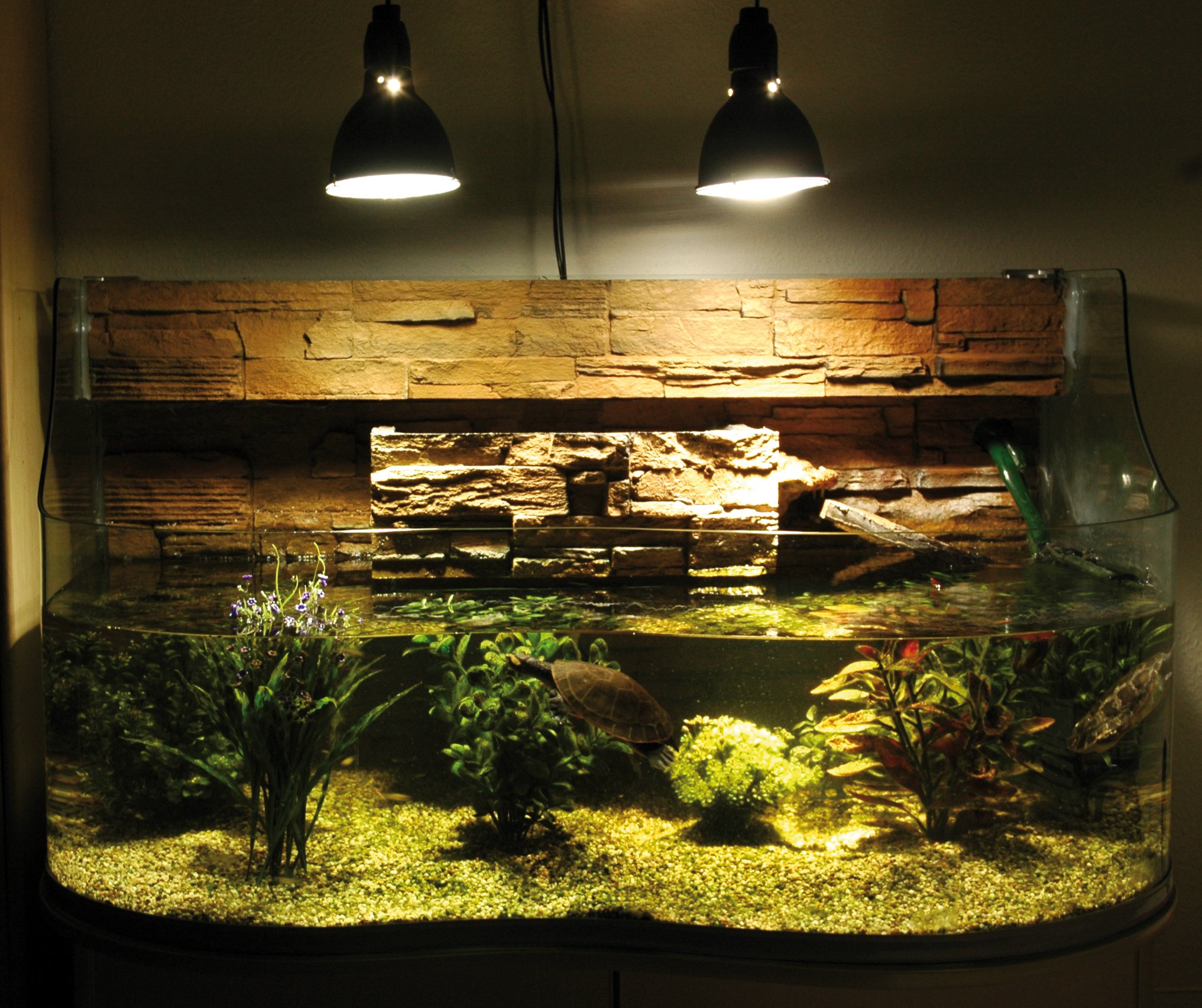 lucky-reptile-bright-sun-turtle-100-watt-e27-uv-w-rmelampe-f-r-wasserschildkr-te image 4