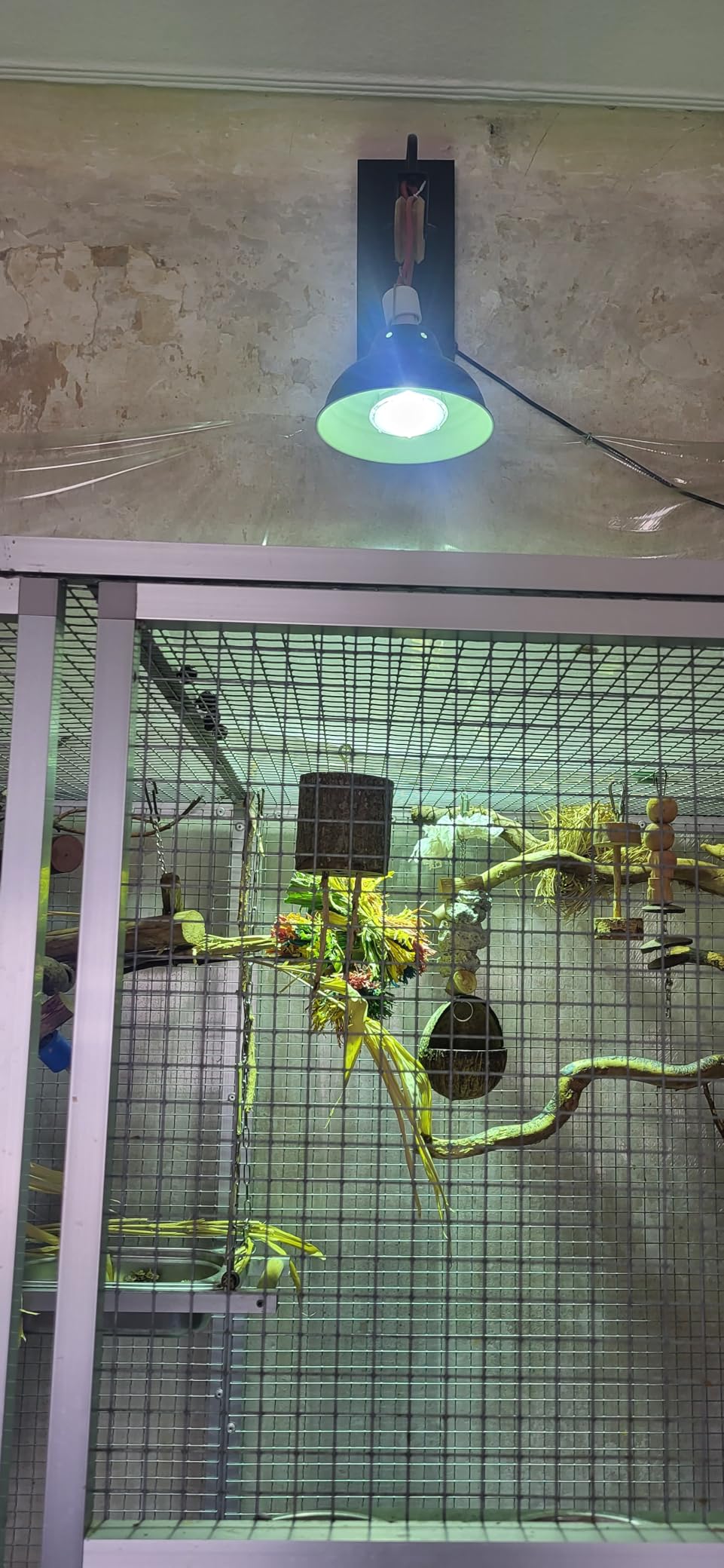Top Tageslicht für Vogelzimmer