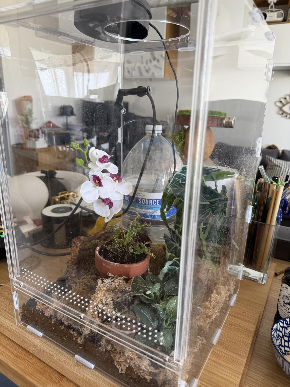Tolles Einsteiger-Terrarium