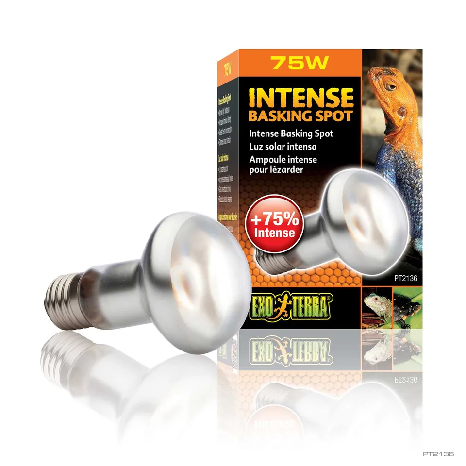 exo-terra-intense-basking-spot-75w-fokussierte-w-rmespotlampe image 1