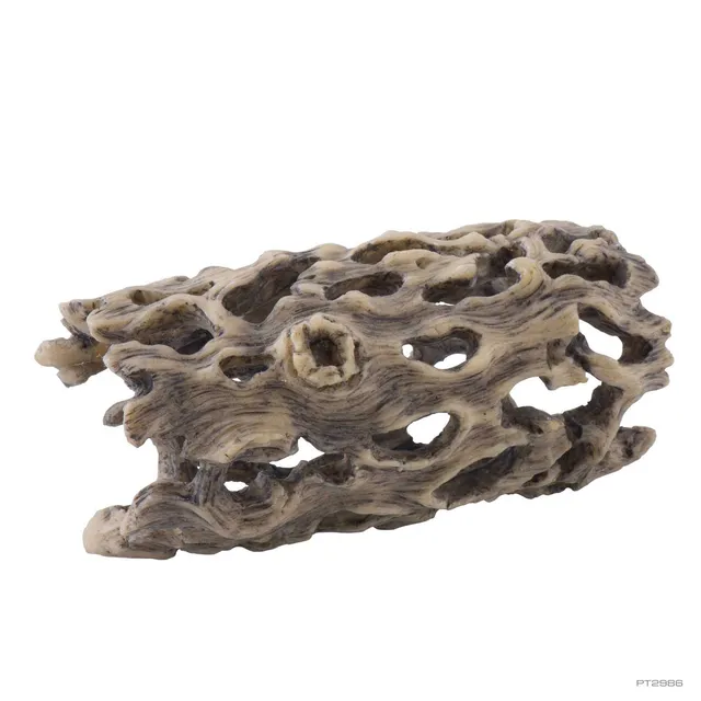 exo-terra-cholla-cactus-small-reptile-den-naturversteck image 1