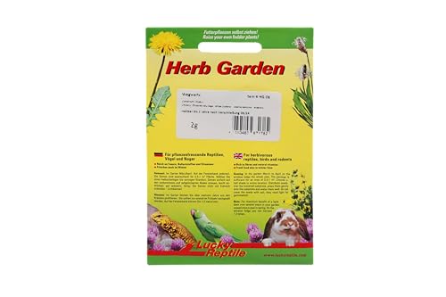 lucky-reptile-hg-08-herb-garden-wegwarte-2-g-samenmischung-reptilienfutter image 3