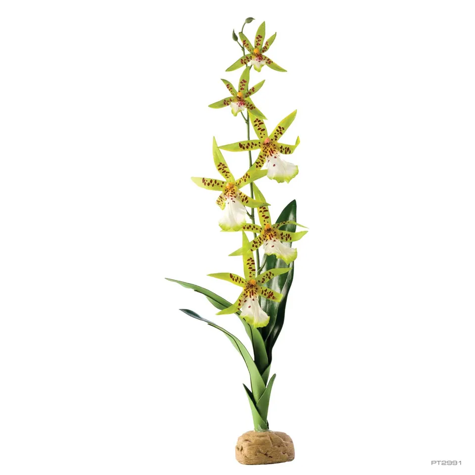 exo-terra-spider-orchid-kunstpflanze-terrarium-deko image 1