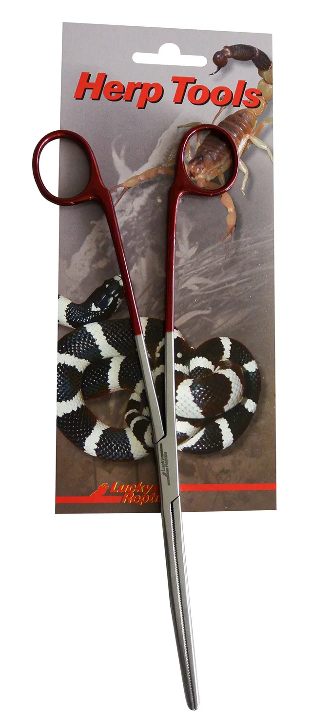 lucky-reptile-futterzange-abgewinkelt-20-cm-edelstahl-terrarien-zange image 1